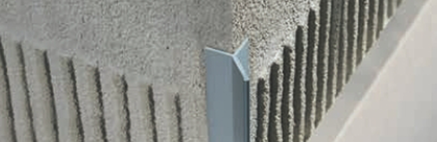 Fine Edge - Curve Banner